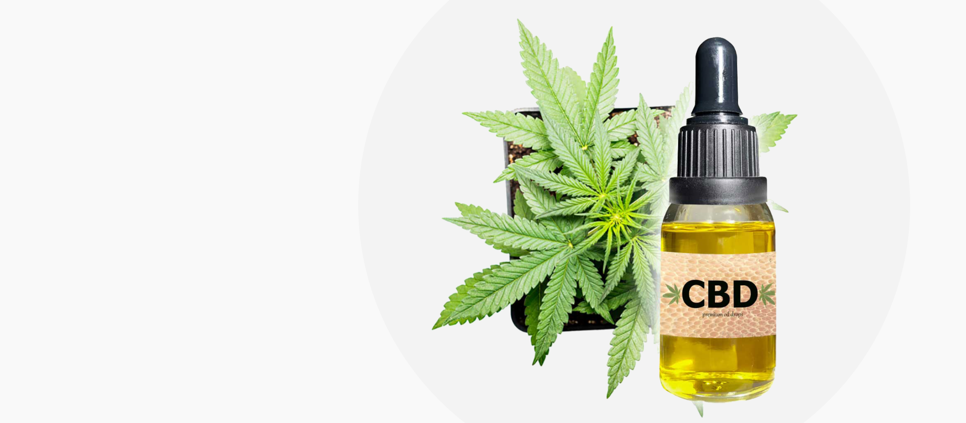 Olio CBD Principi Attivi